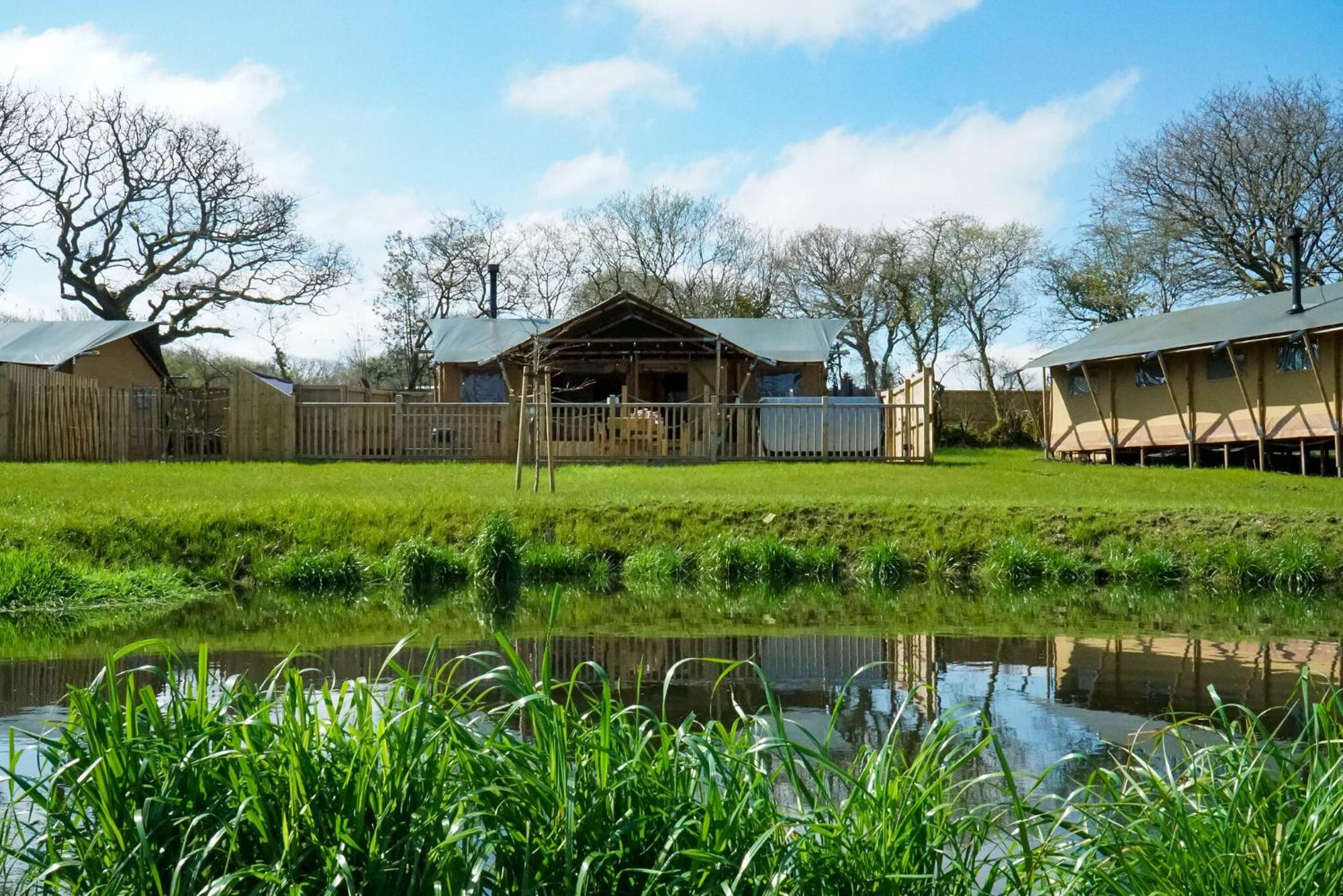 Jungle Book Safari Tent Tenby Exterior foto